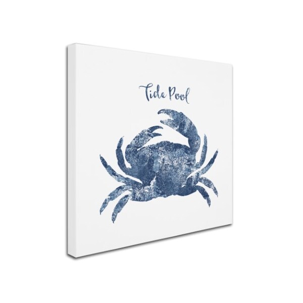 Tina Lavoie 'Tide Pool Crab' Canvas Art,35x35